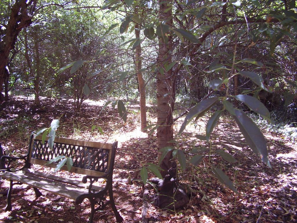 Black Cockatoo Lodge Nannup Exterior photo