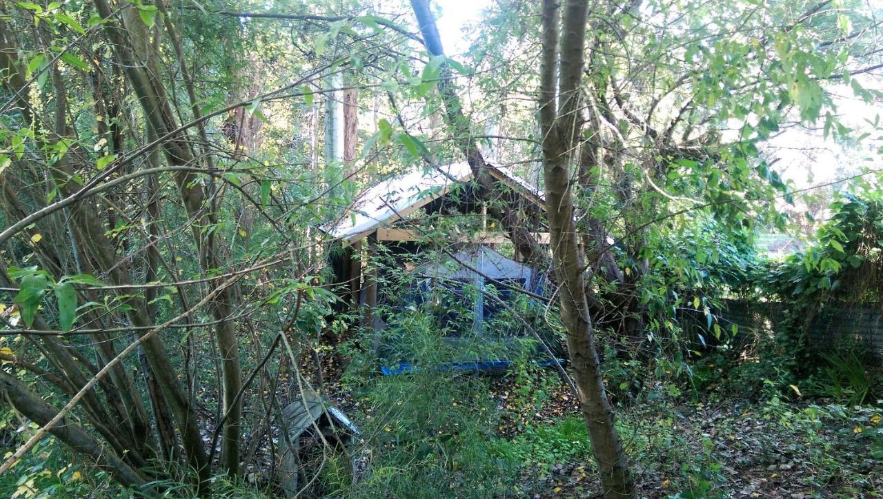 Black Cockatoo Lodge Nannup Exterior photo